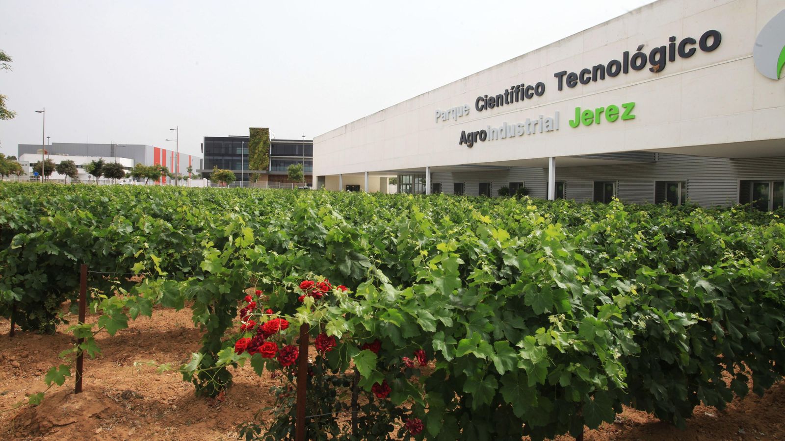 El edificio singular del Parque Tecnológico Agroalimentario con el viñedo plantado junto a su fachada, hoy en día en estado de semi abandono. El edificio singular del Parque Tecnológico Agroalimentario con el viñedo plantado junto a su fachada, hoy en día en estado de semi abandono.