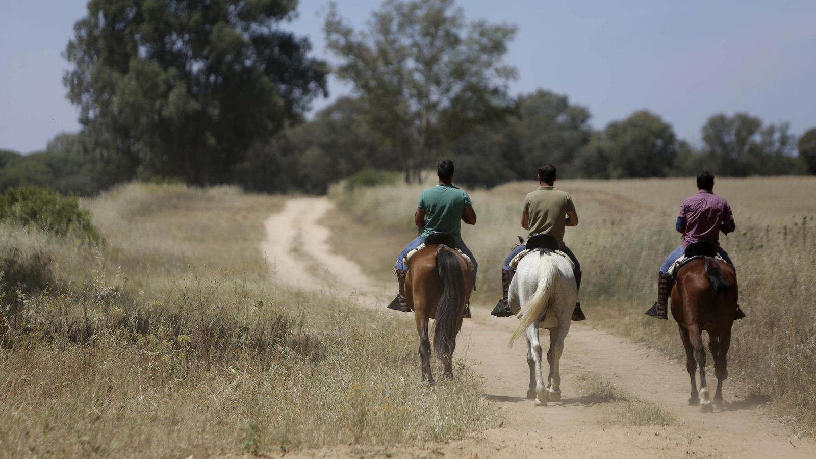 Imágenes de un viernes de Rocío sin romería