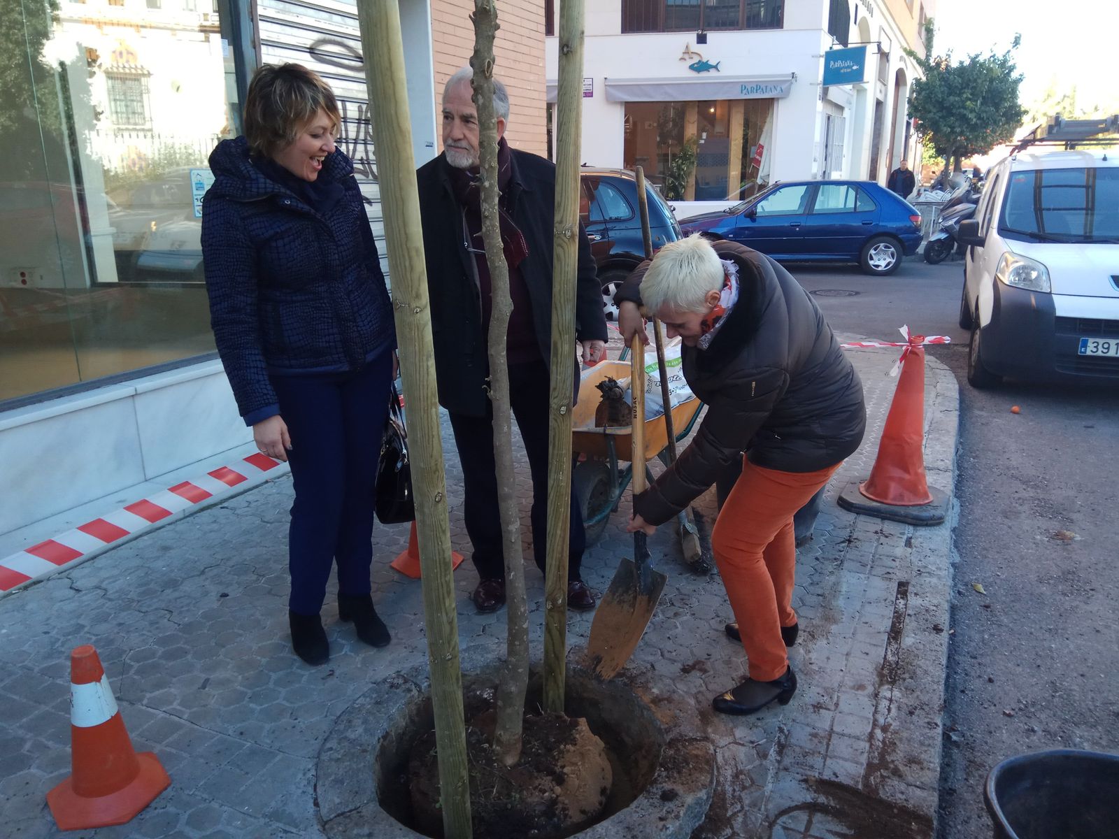 El Ayuntamiento ha plantado nuevos árboles en Nervión