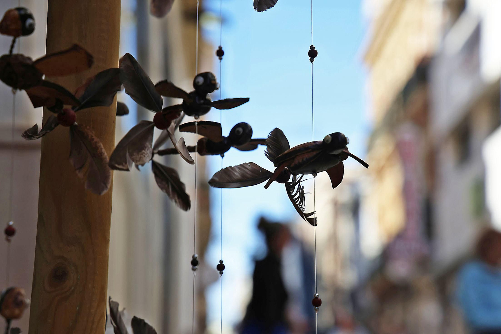 Las imágenes más destacadas del domingo 12 de enero en Huelva