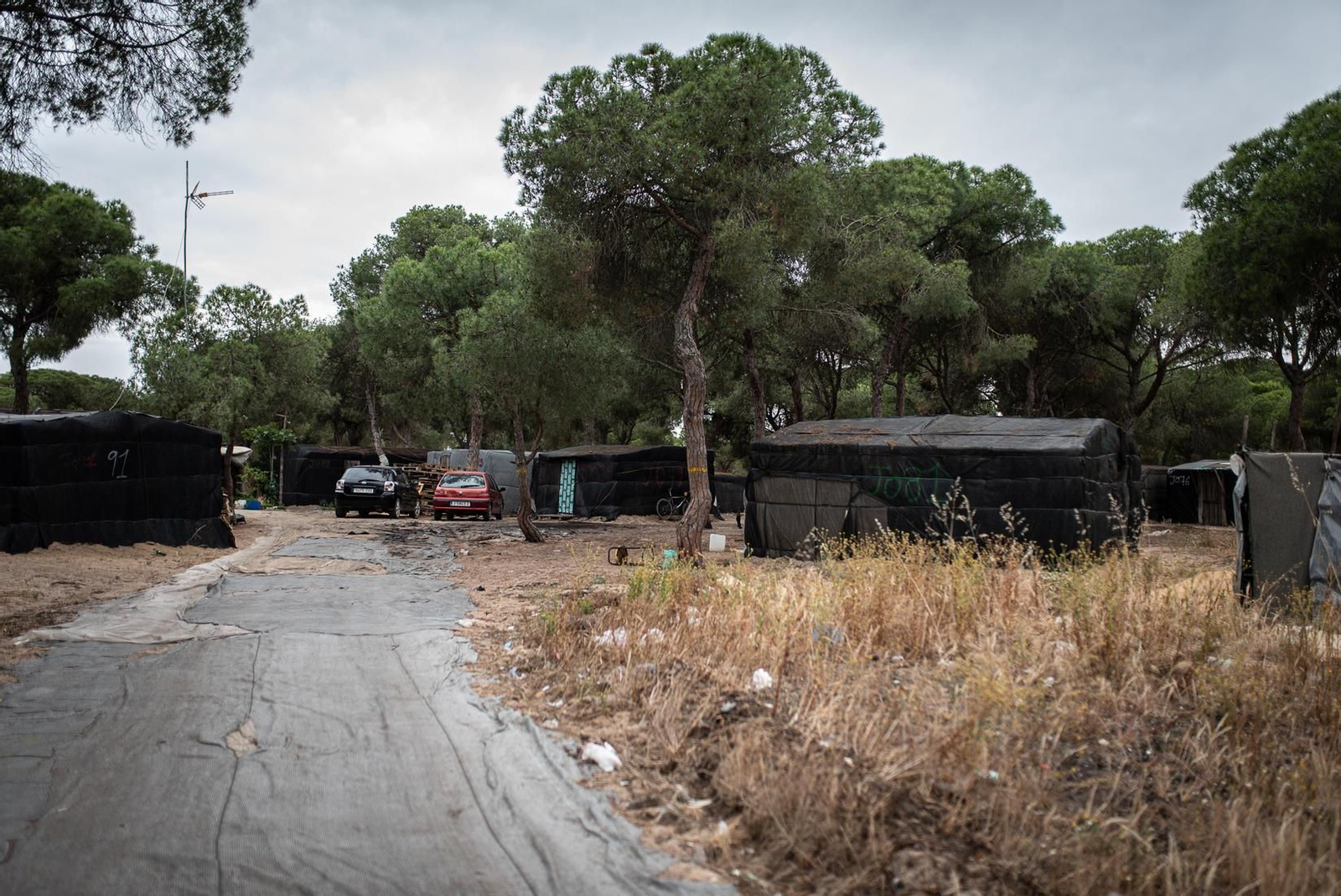 Galería de imágenes. La vida en el poblado chabolista de Las Madres (Moguer)