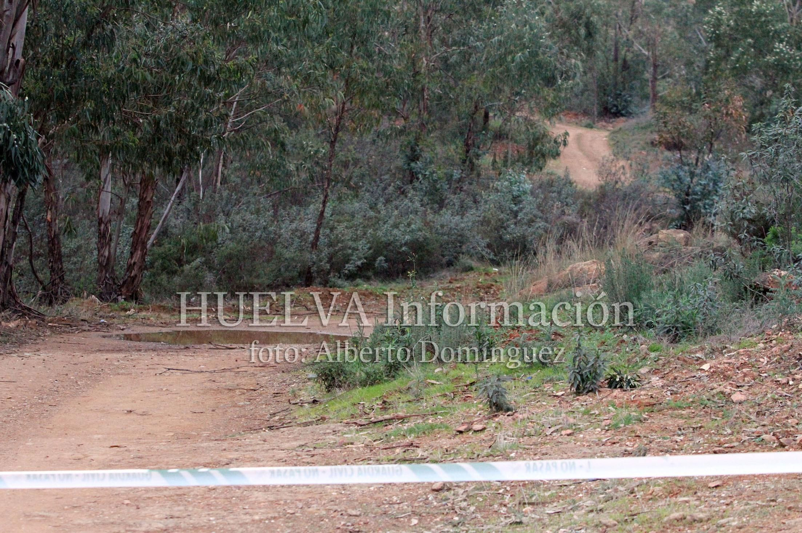 Registro de la casa de Bernardo Montoya, en imágenes