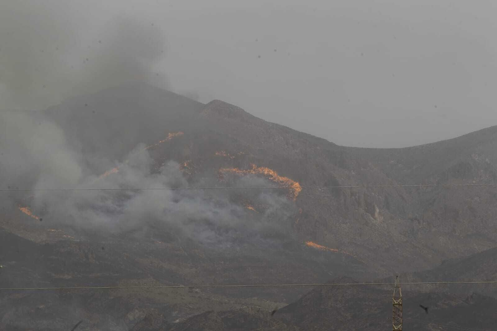 Imágenes del primer gran incendio en Almería a las puertas del verano