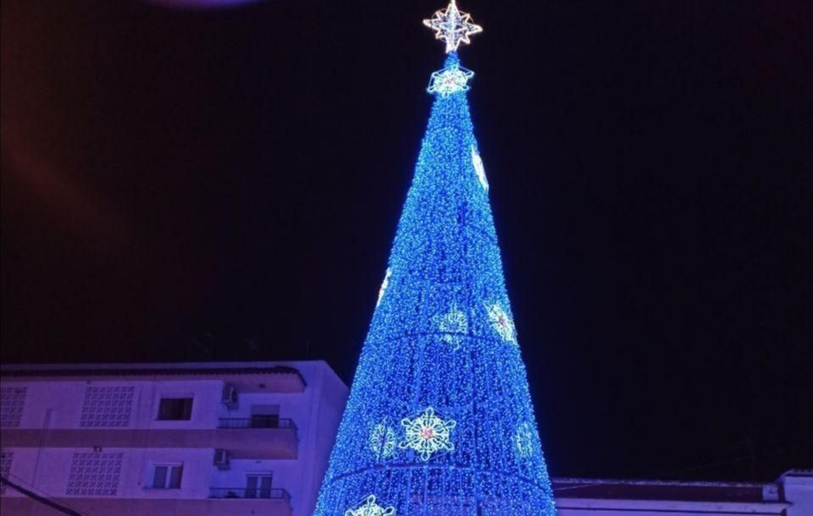El árbol instalado el pasado año en la Plaza de la Herrería.