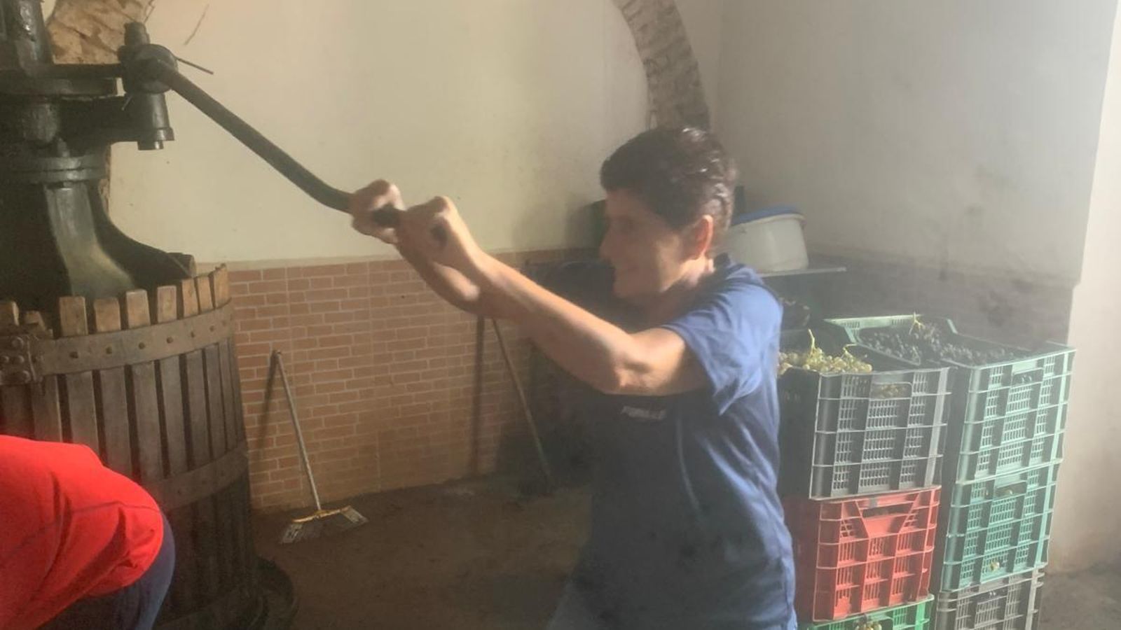 Juani prensa la masa y saca el mosto. Juani prensa la masa y saca el mosto.