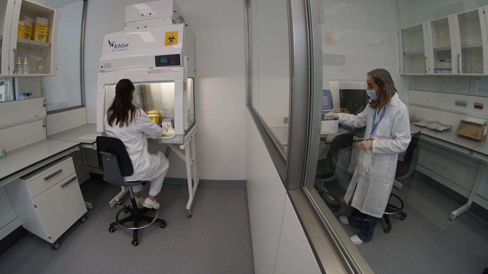 En la cuarta fase se procede a amplificar el RNA de la bacteria.