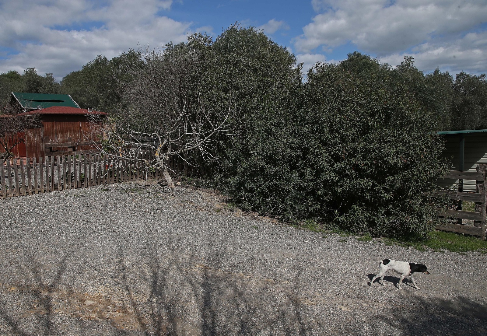 Fotos del lugar donde se produce Ribera de Hozgarganta, el primer vino del Campo de Gibraltar