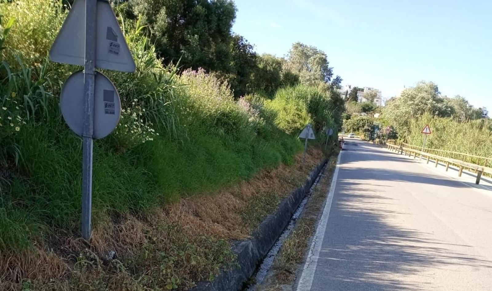 La carretera al Pinar del Rey