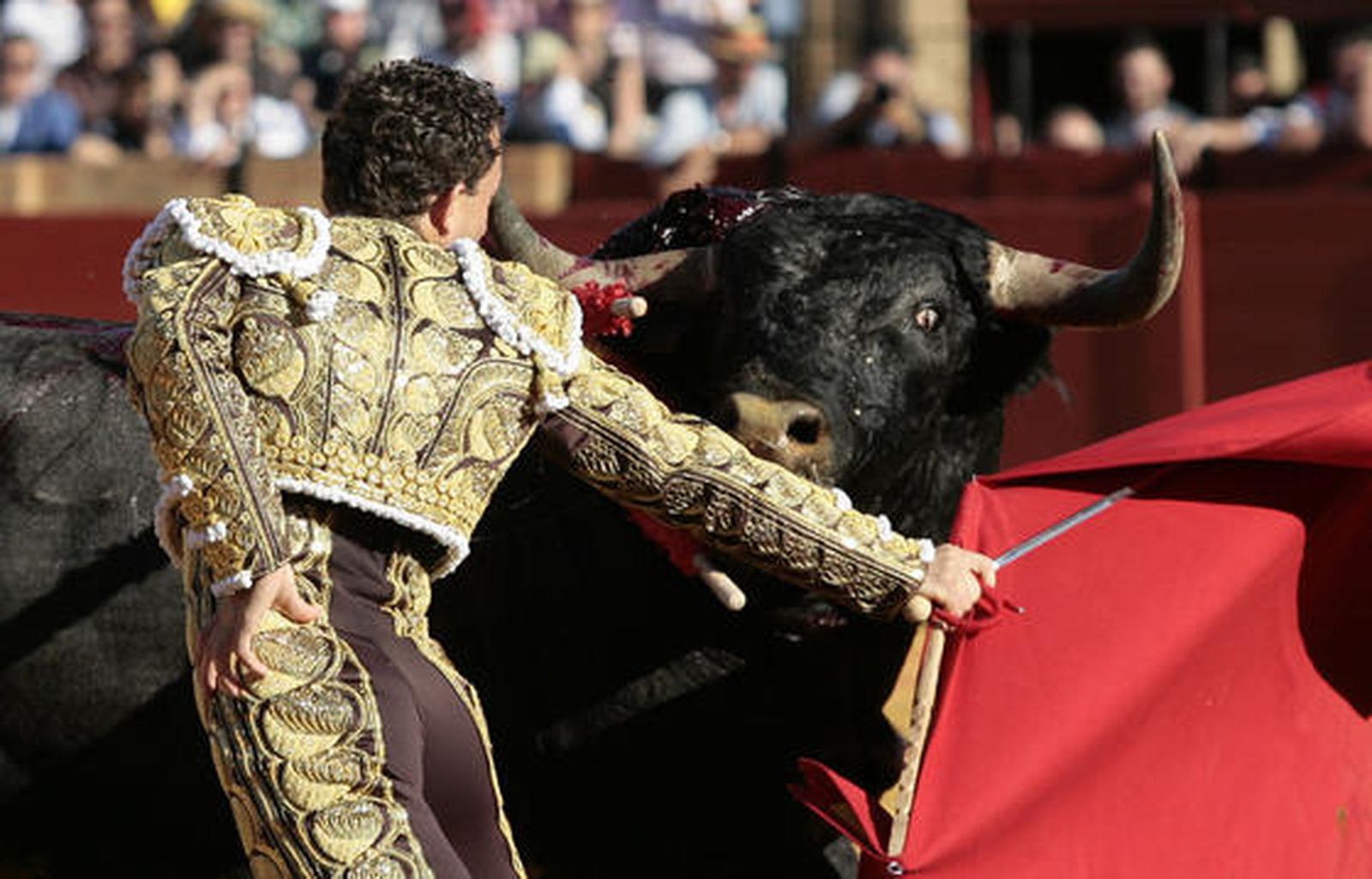 El diestro Rafaelillo en plena faena con el segundo Miura de la tarde.

Foto: Juan Carlos Muñoz