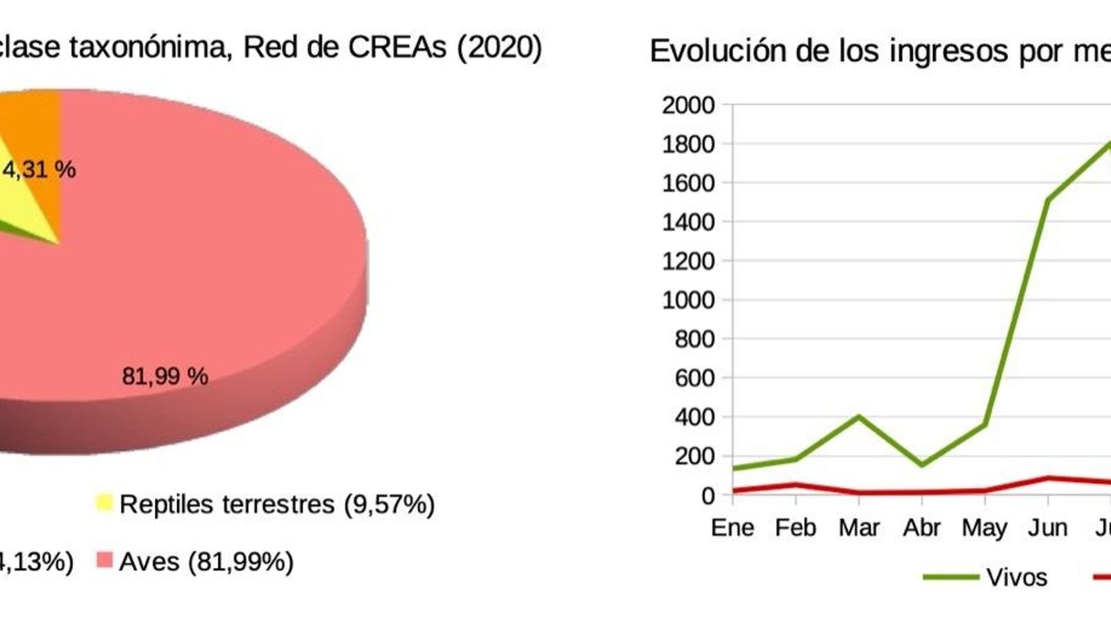 Más del 80% de especies que llegan al CREA son aves.