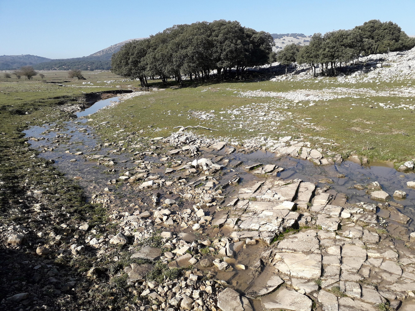 Agua, piedra y quejigos. Los ríos de Córdoba se llenan de vida