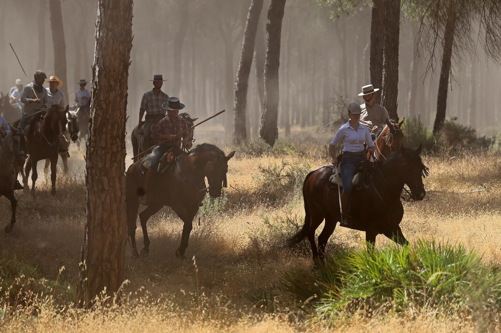 Las mejores imágenes de la Saca de las Yeguas 2025