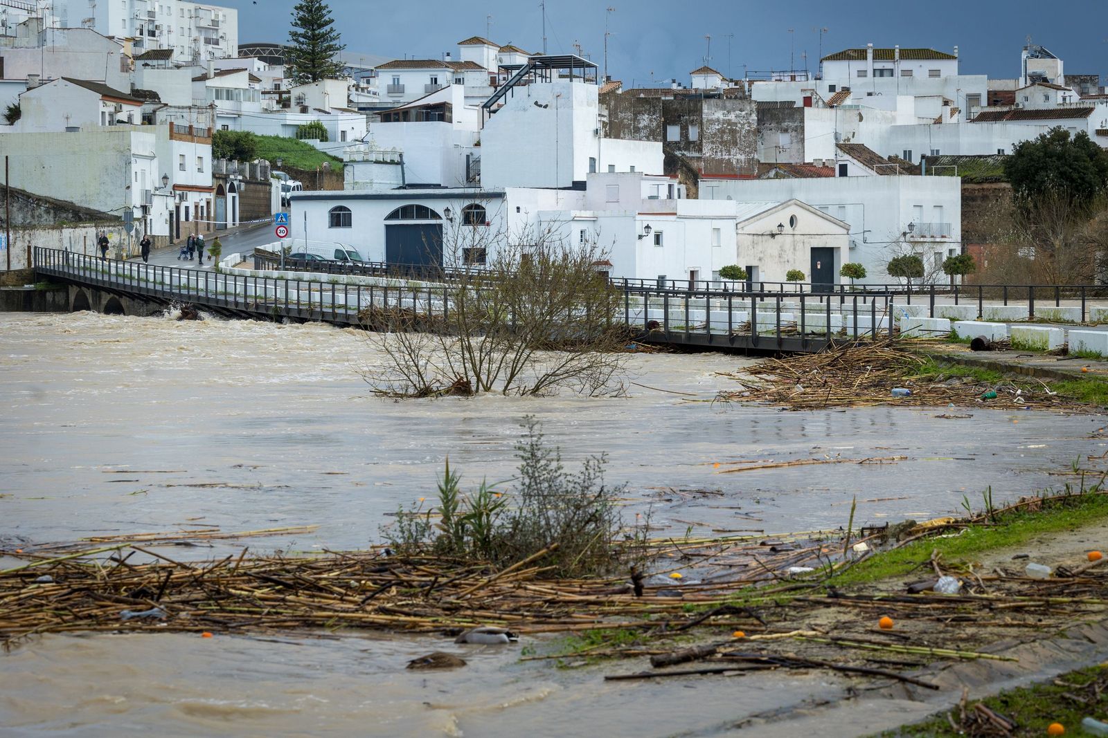 El río Guadalete en Arcos invade el puente del Algarrobo, en el barrio bajo de este municipio de la Sierra de Cádiz