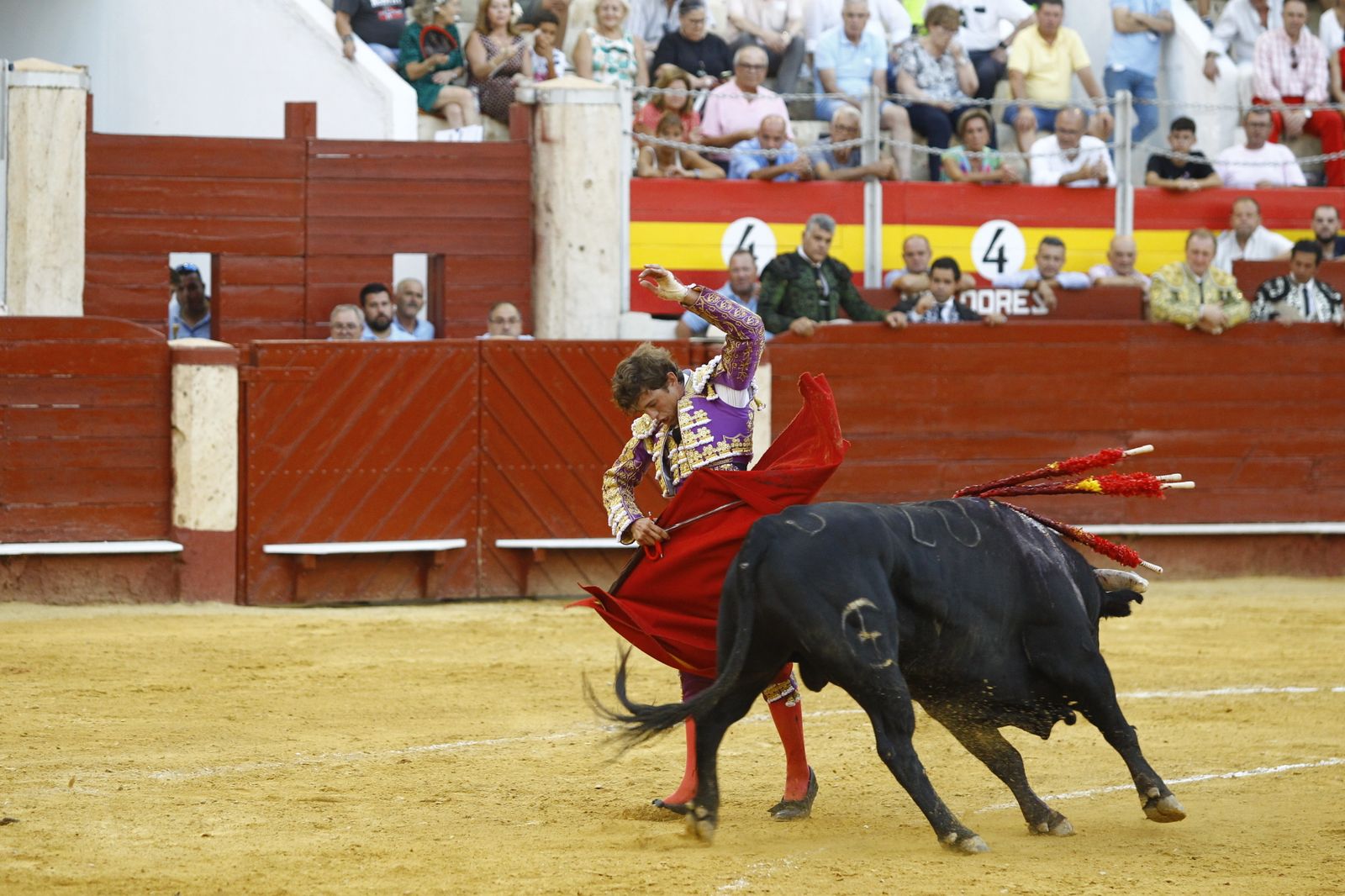 Fotogalería de la novillada de la Feria Taurina de Almería 2022