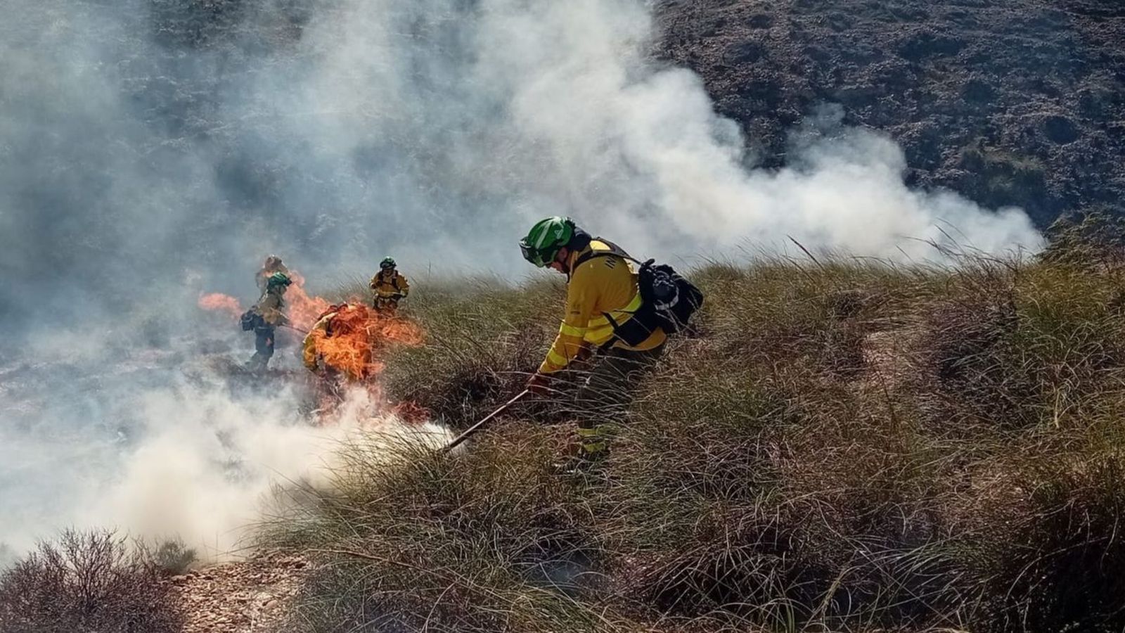 El Plan Infoca ya trabaja en extinguir las llamas.