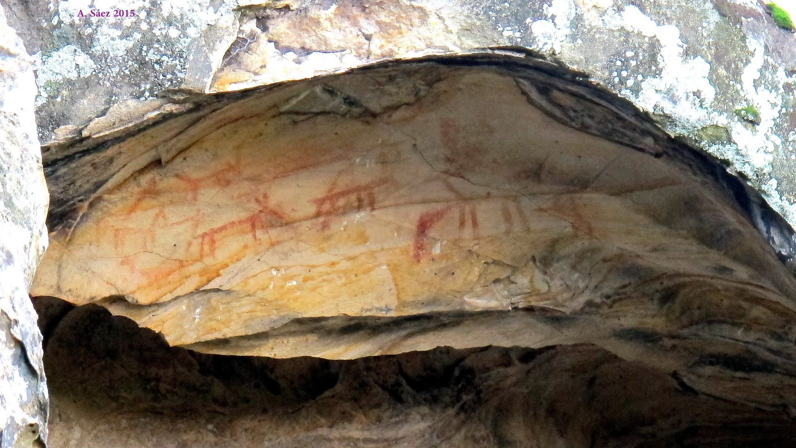 Pinturas rupestres de la Cueva del Pajarraco, en el término de Los Barrios.