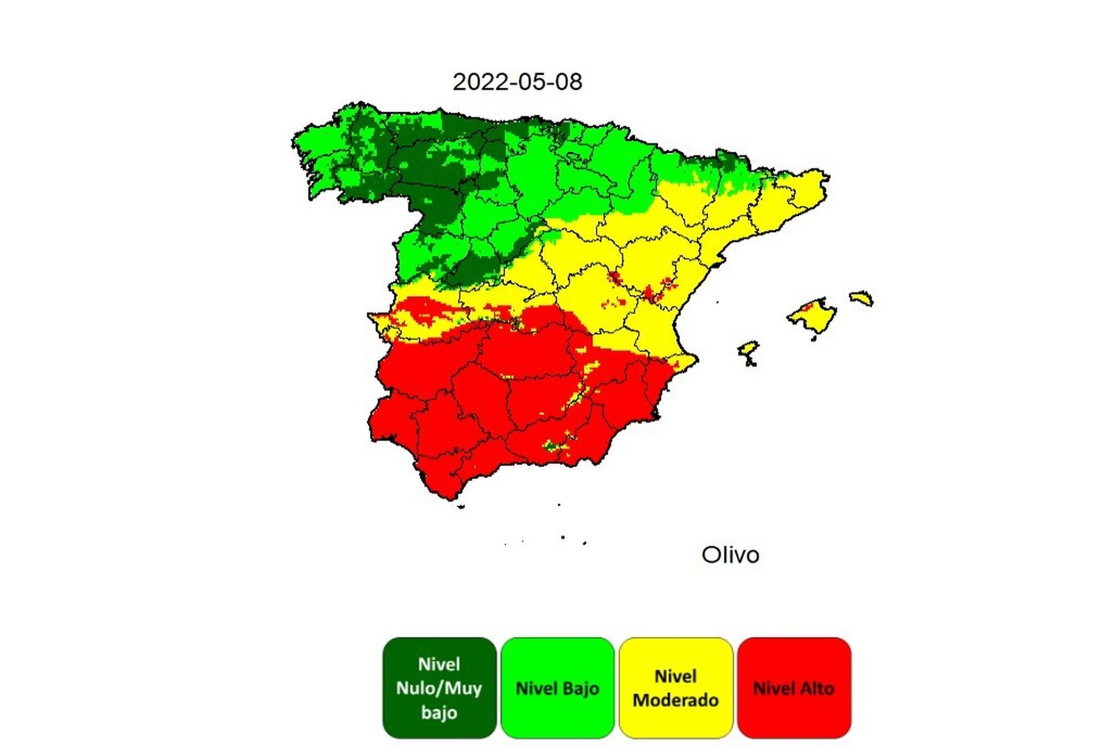 La alta concentración de granos de polen de olivo y gramíneas disparan las alergias en el centro y la mitad sur