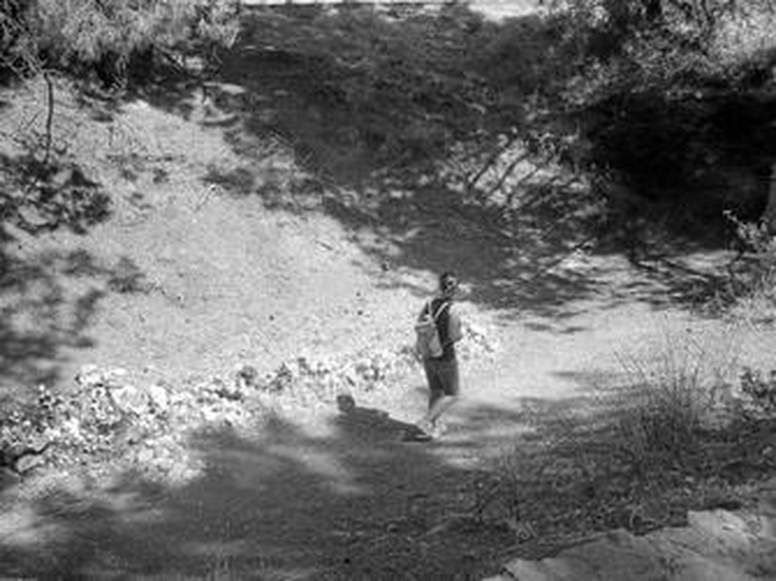 La Junta extiende toda la búsqueda de fosas al entorno de Víznar y Alfacar.