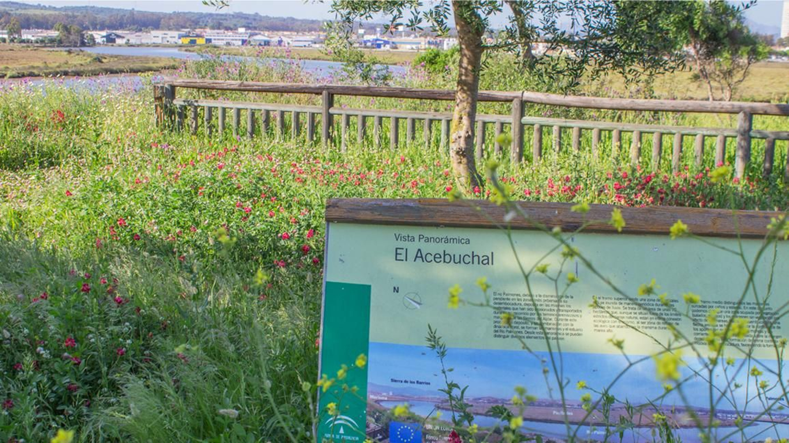 Fotos del parque municipal El Torrejón