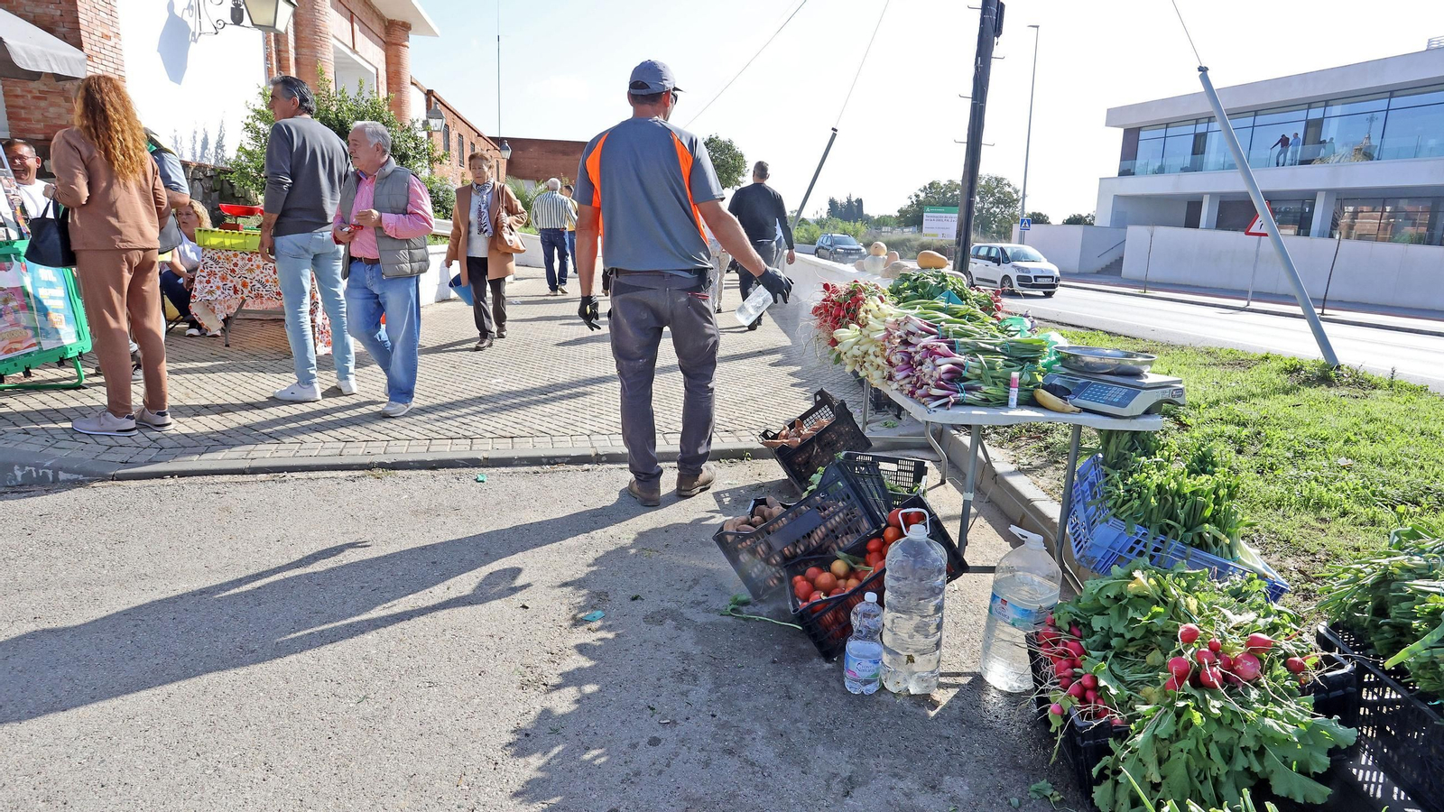 Imágenes del cementerio de Jerez en el Día de los Fieles Difuntos