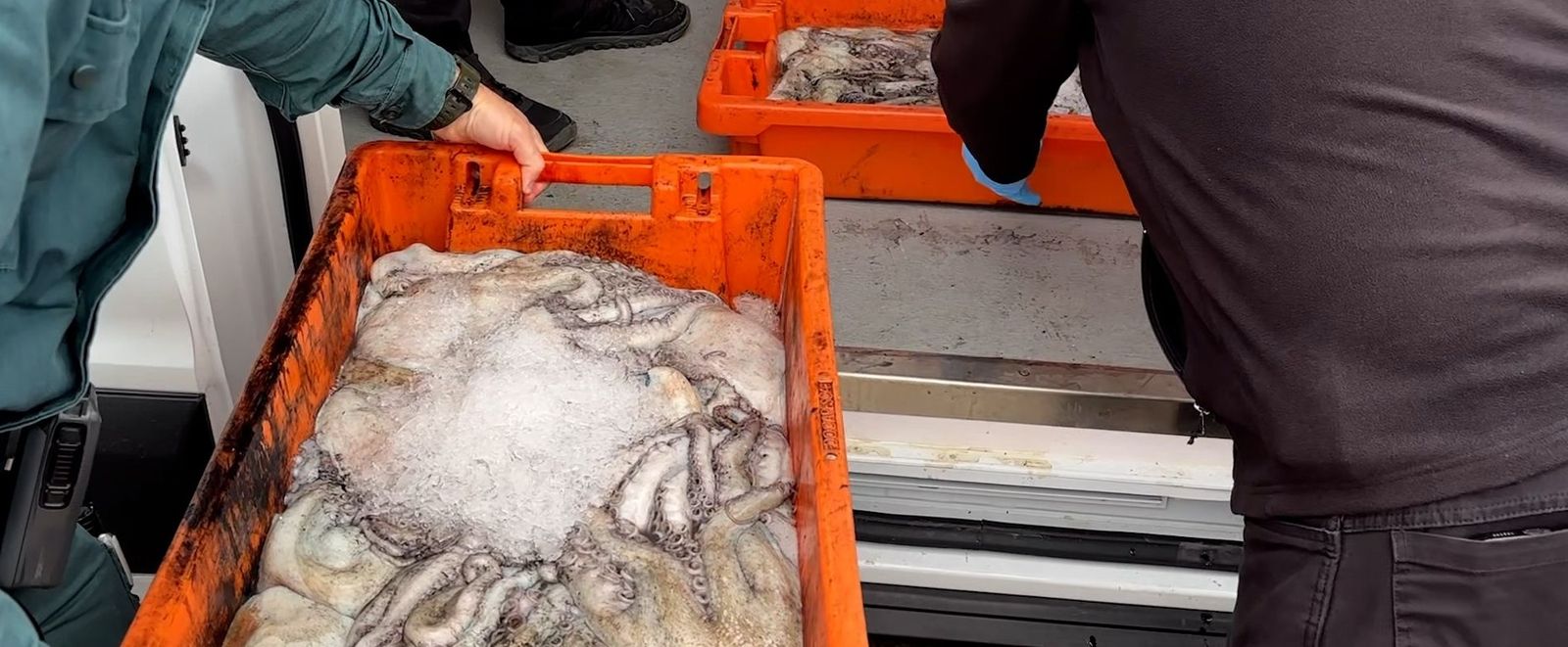 Imagen de archivo de una intervención policial que tenía por objeto el pulpo congelado.