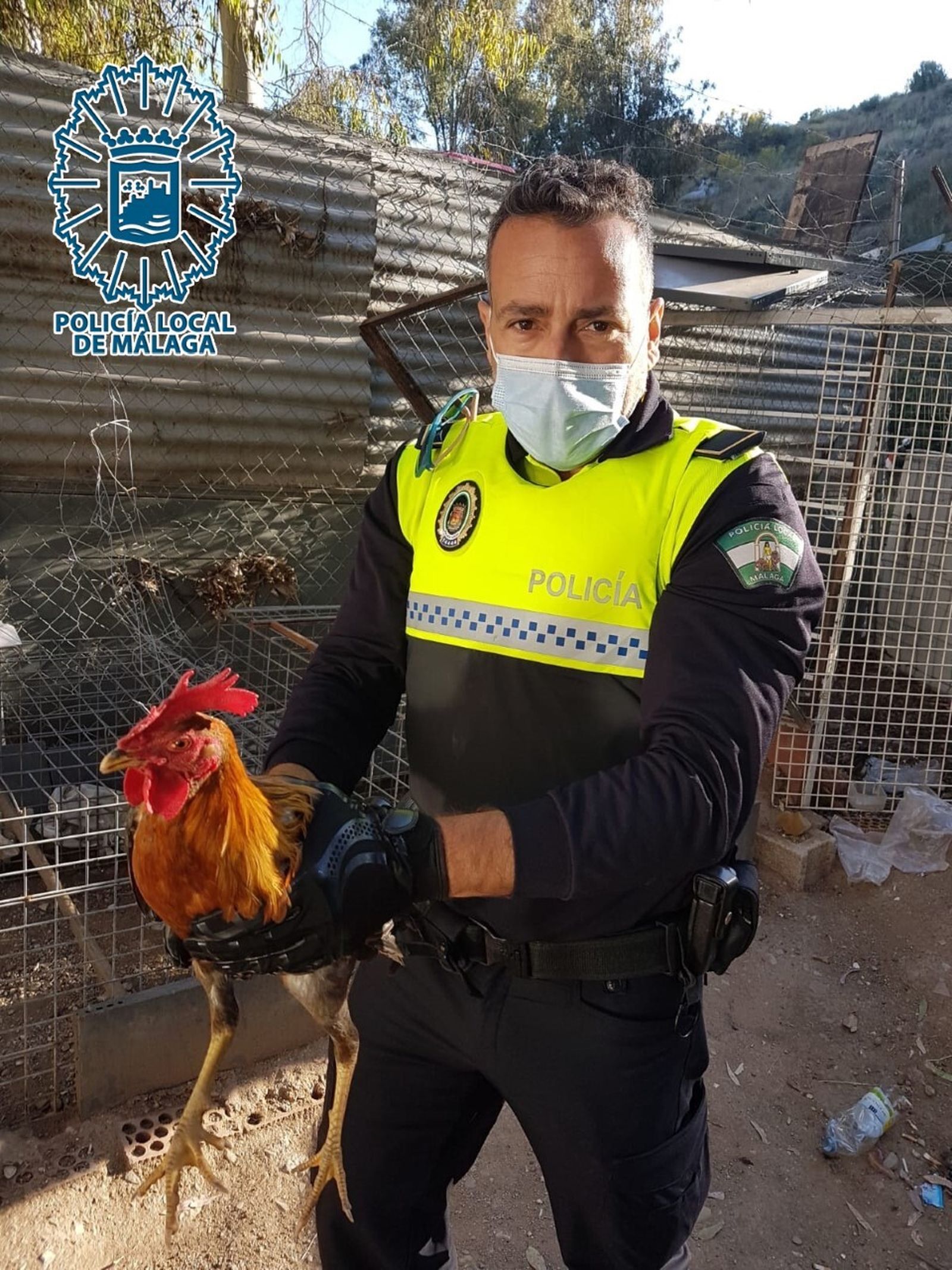 Un policía local junto a uno de los gallos