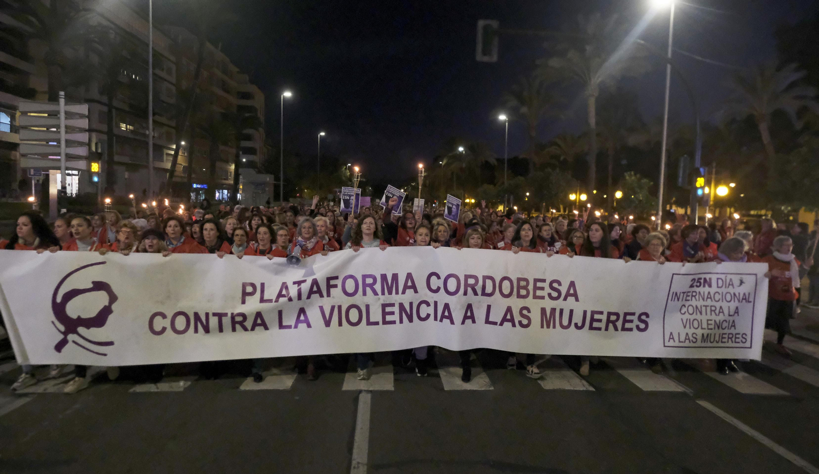La manifestación en Córdoba contra la violencia de género, en fotografías