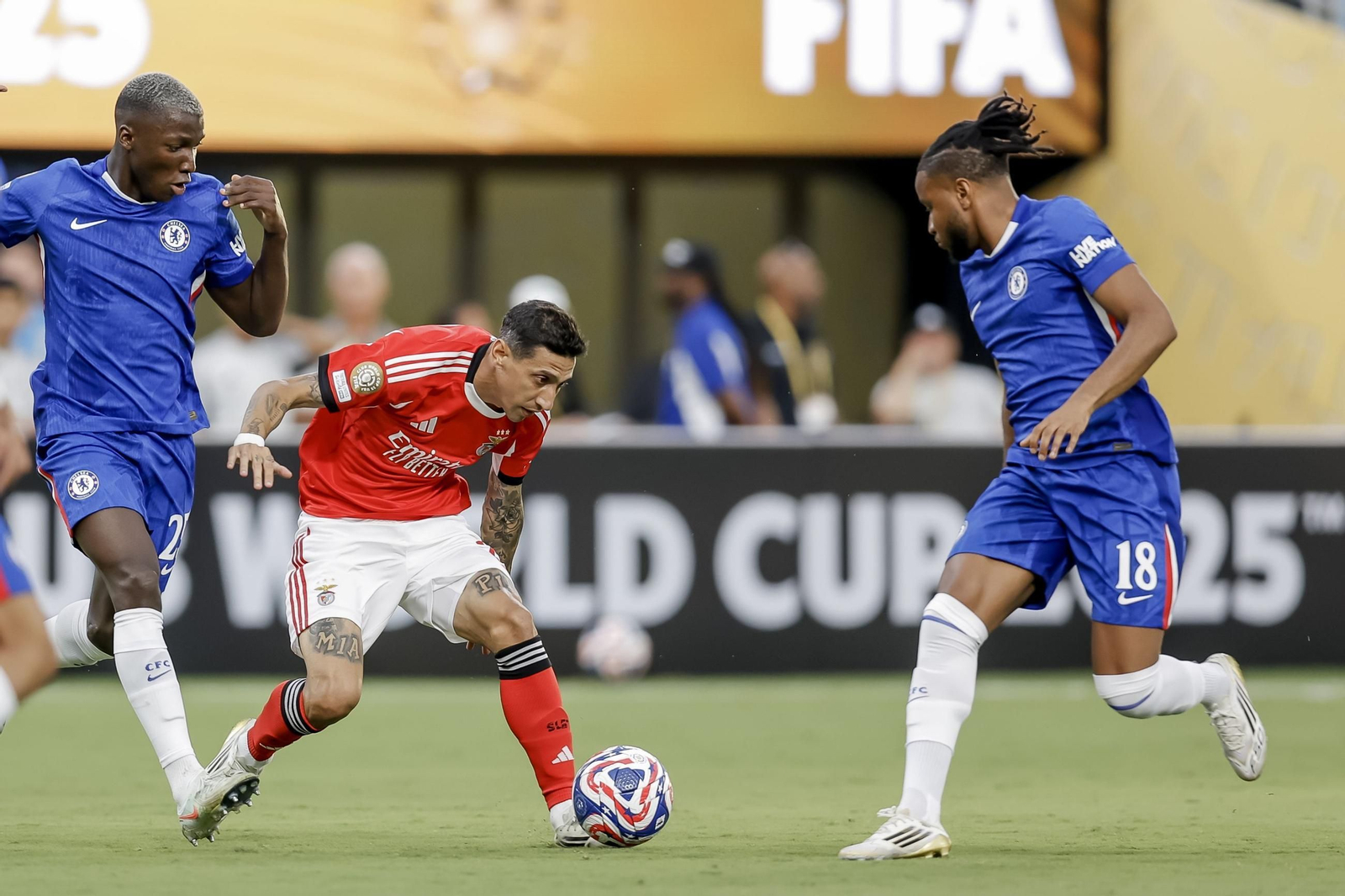 Benfica-Chelsea (20).jpg