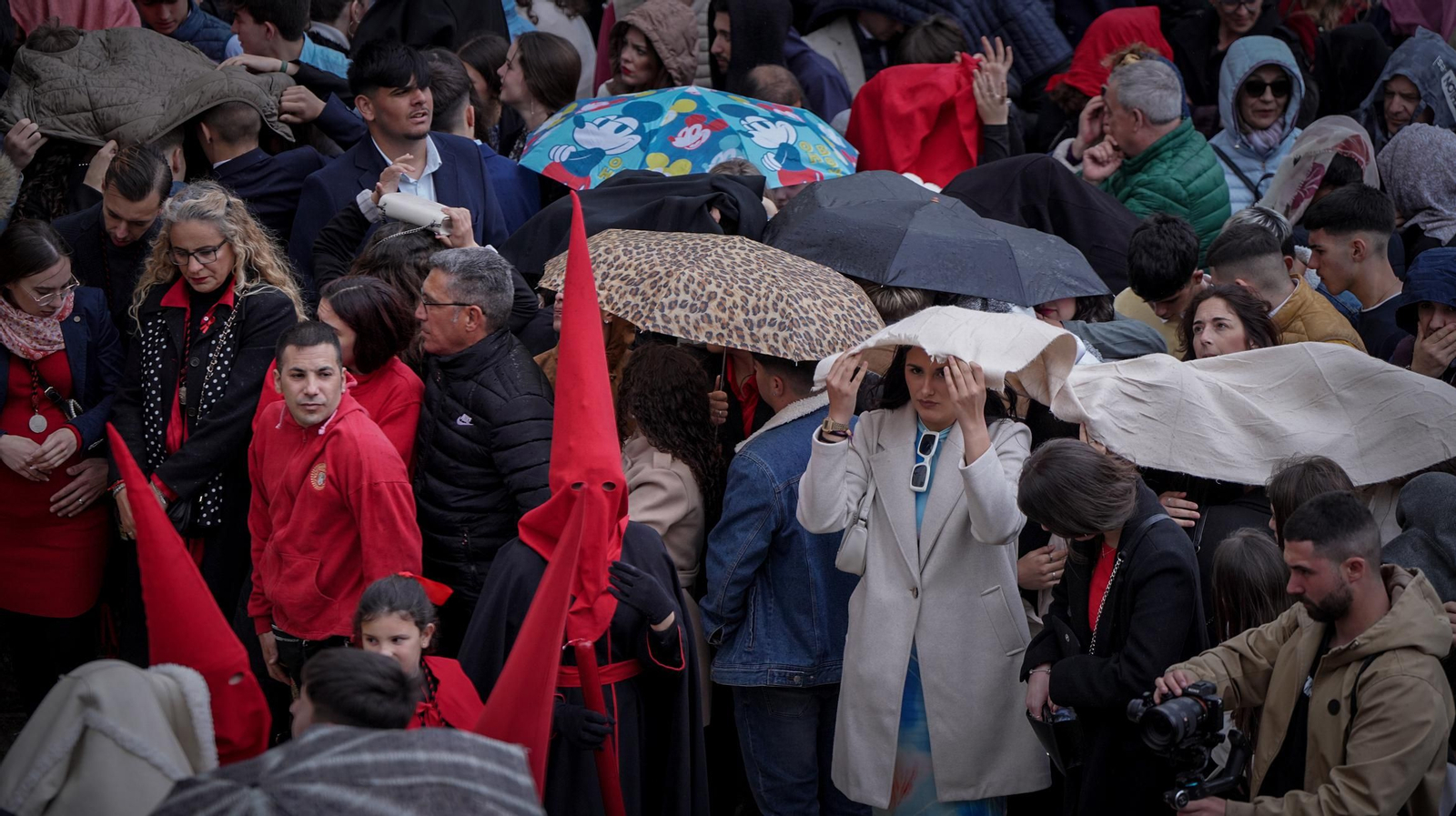 Los Judíos de San Mateo de Jerez en imágenes Los Judíos de San Mateo de Jerez en imágenes