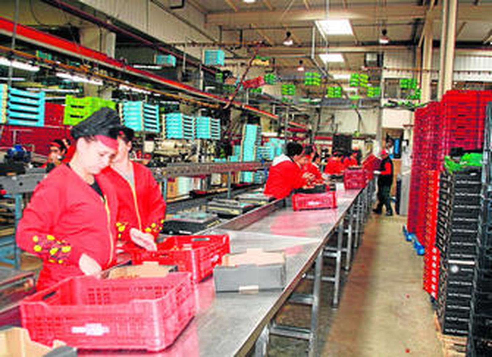 Hasta el momento se han incorporado a trabajar 21 alumnos y en enero lo hará el resto.