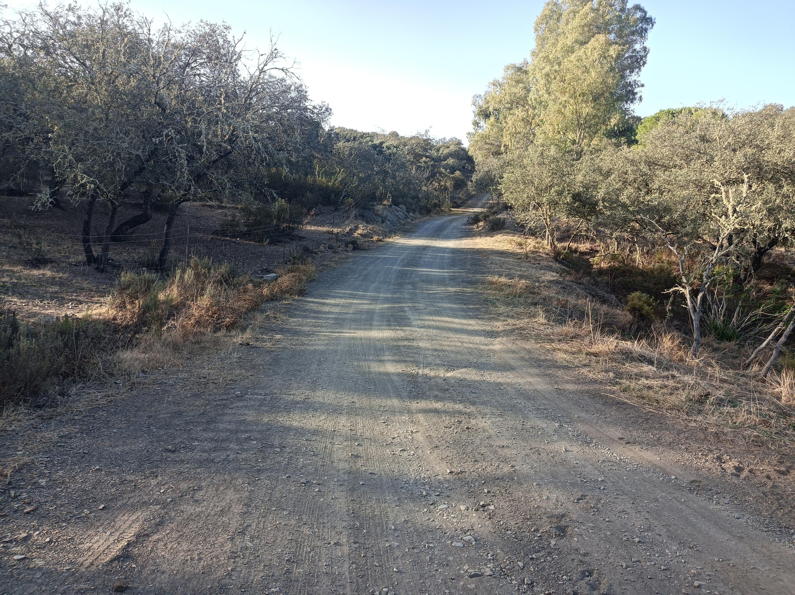 Fotos de la ruta de Los Brezales-Umbría de Santa Fe en el Ronquillo