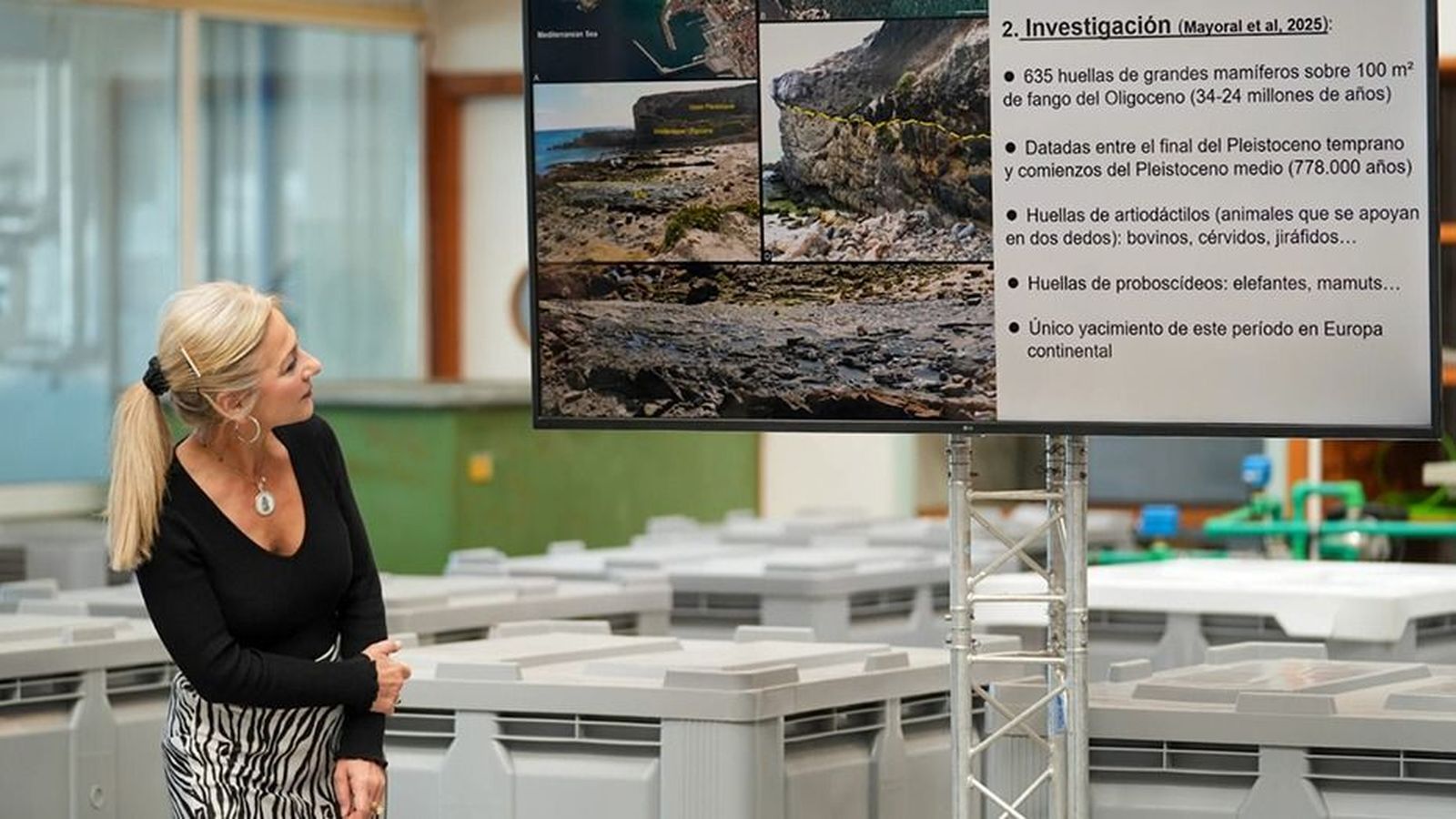 Patricia del Pozo ha presentado en el Centro de Arqueología Subacuática de Cádiz los hallazgos del proyecto científico 'Vestigium'.
