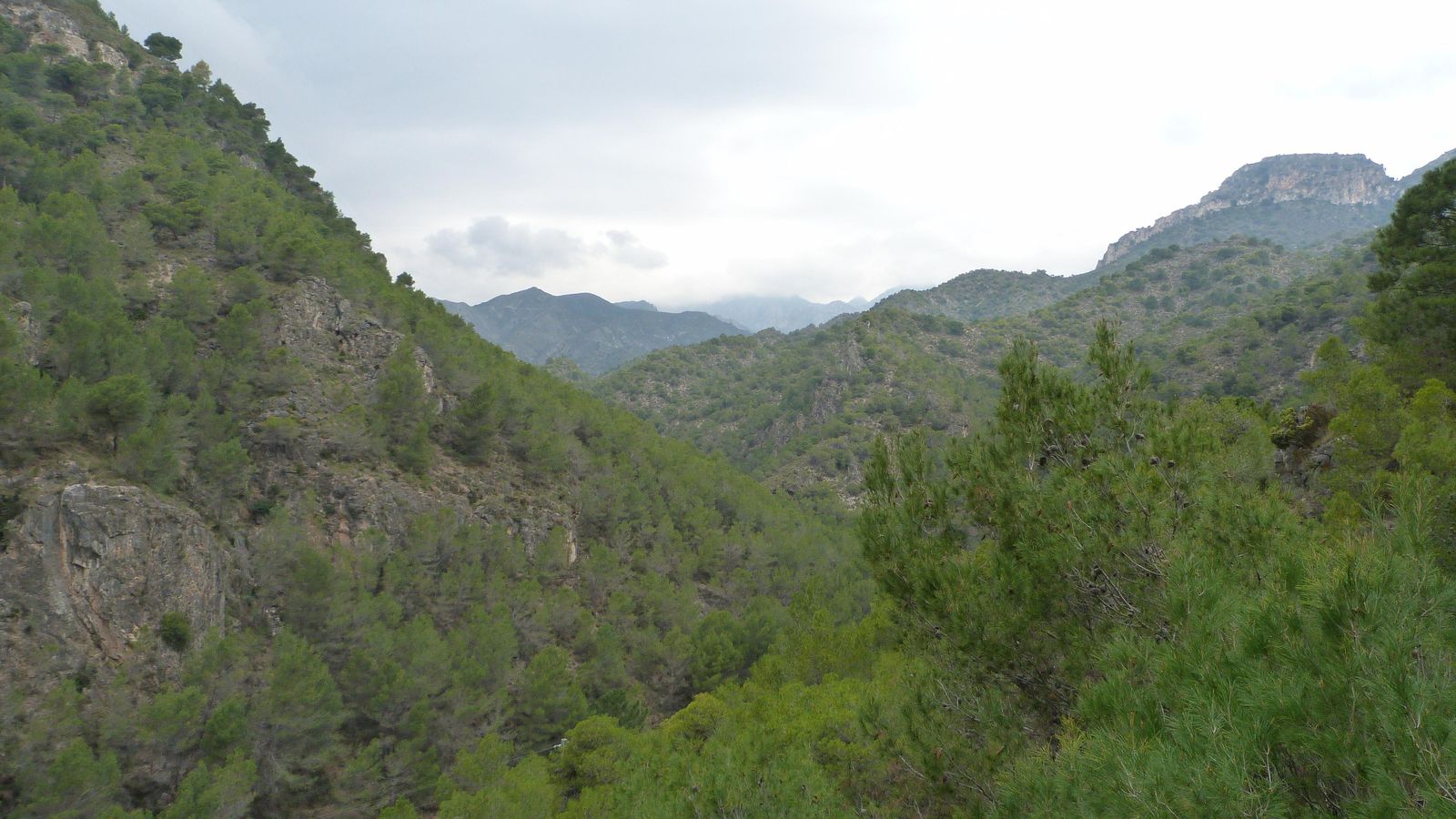 Las vistas desde la sierra de Enmedio. Las vistas desde la sierra de Enmedio.