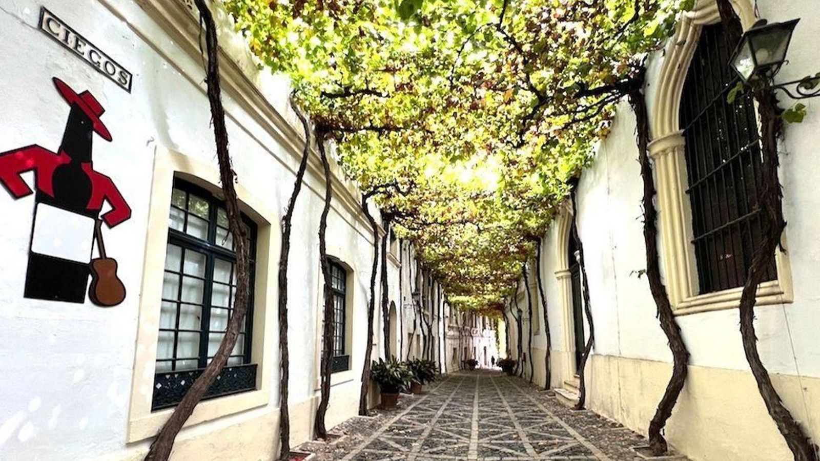 Una de las calles más conocidas de esta famosa bodega