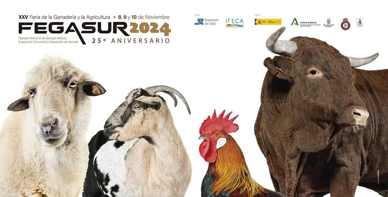 Cartel de Fegasur 2024, celebración que ha sido pospuesta al próximo año.