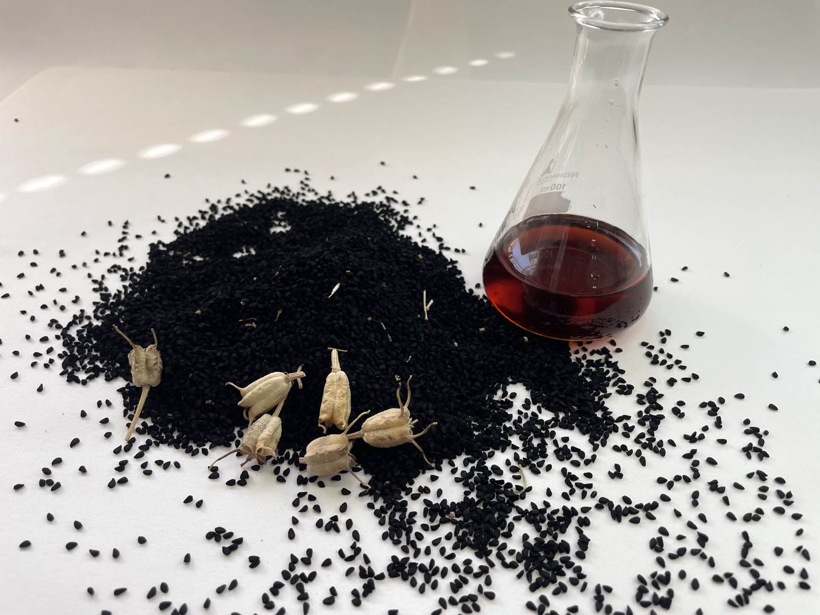 Semillas y aceite de comino negro.