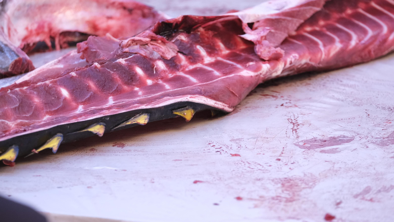 Jornadas del ronqueo del atún de almadraba en el Espacio Gastronómico Tony García, en Almería