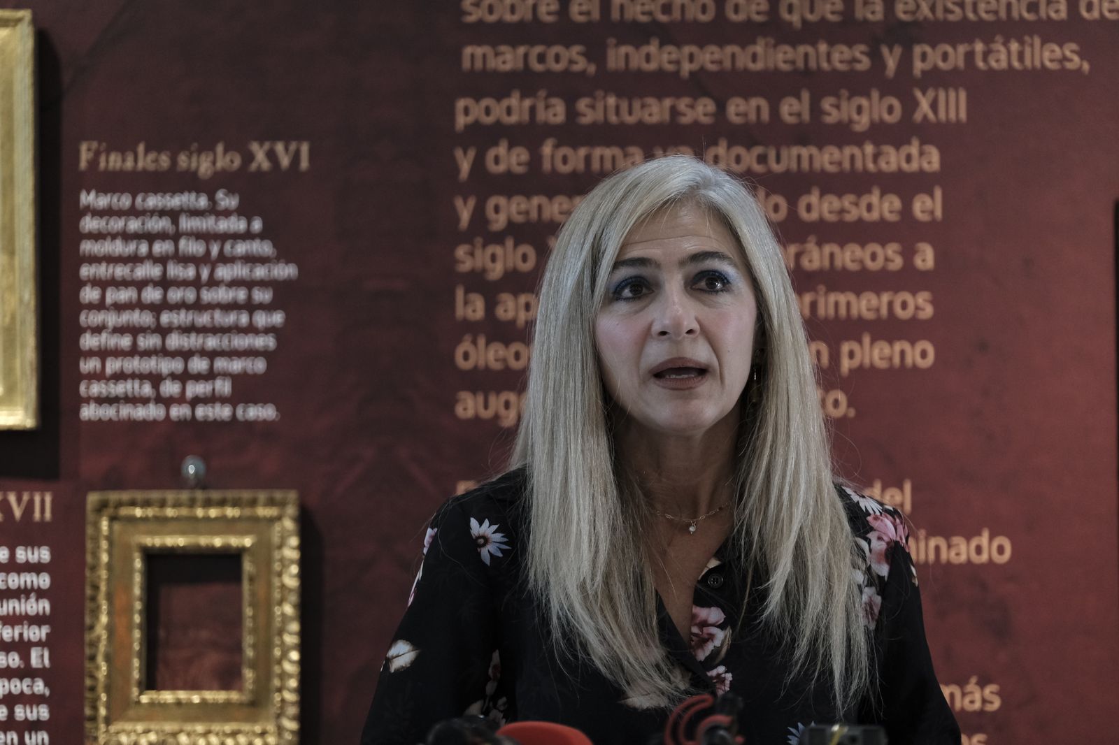 Fotogalería inauguración exposición El Marco Barroco Español. Museo de Almería.