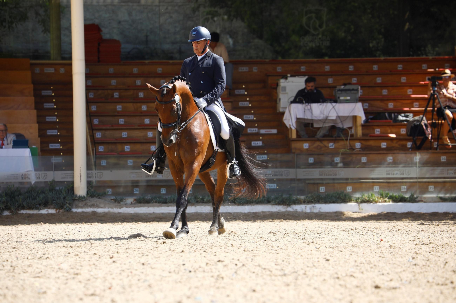 El concurso nacional de Doma Clásica en las Caballerizas Reales de Córdoba