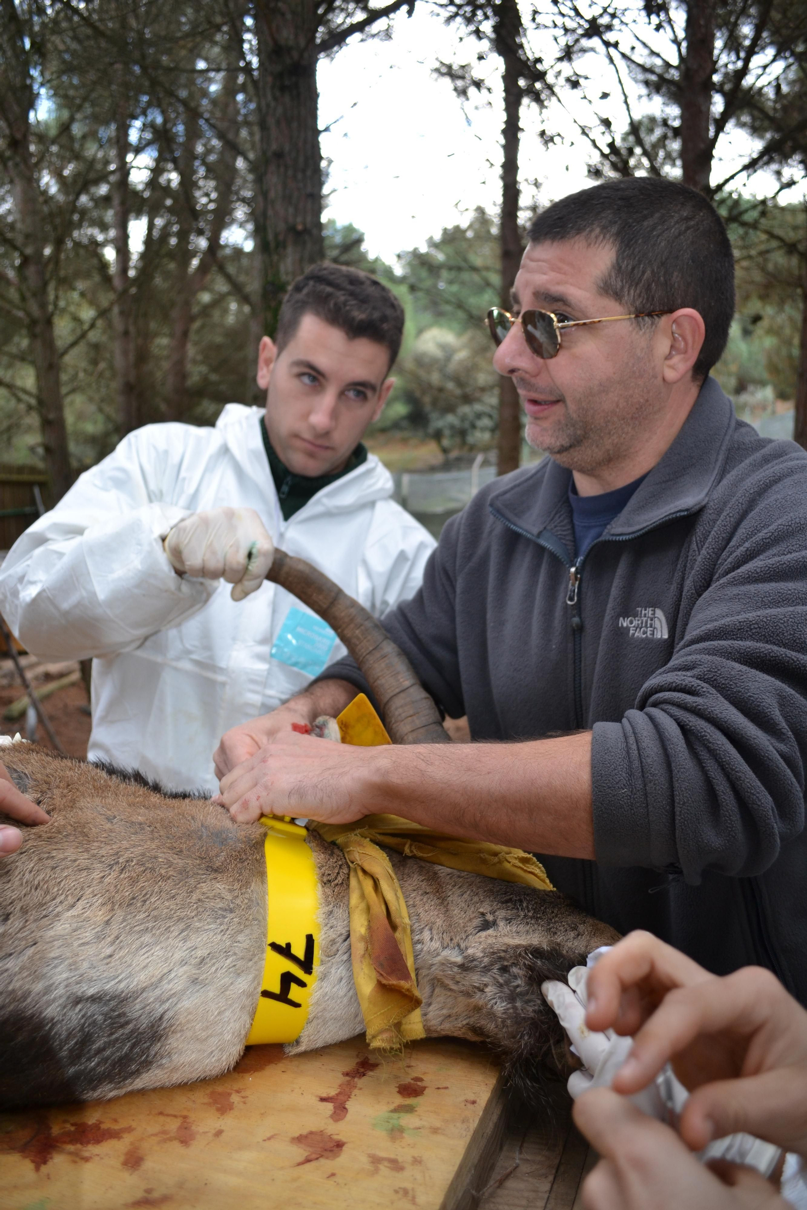 En el cercado reservorio, haciendo el ‘chequeo’ anual.