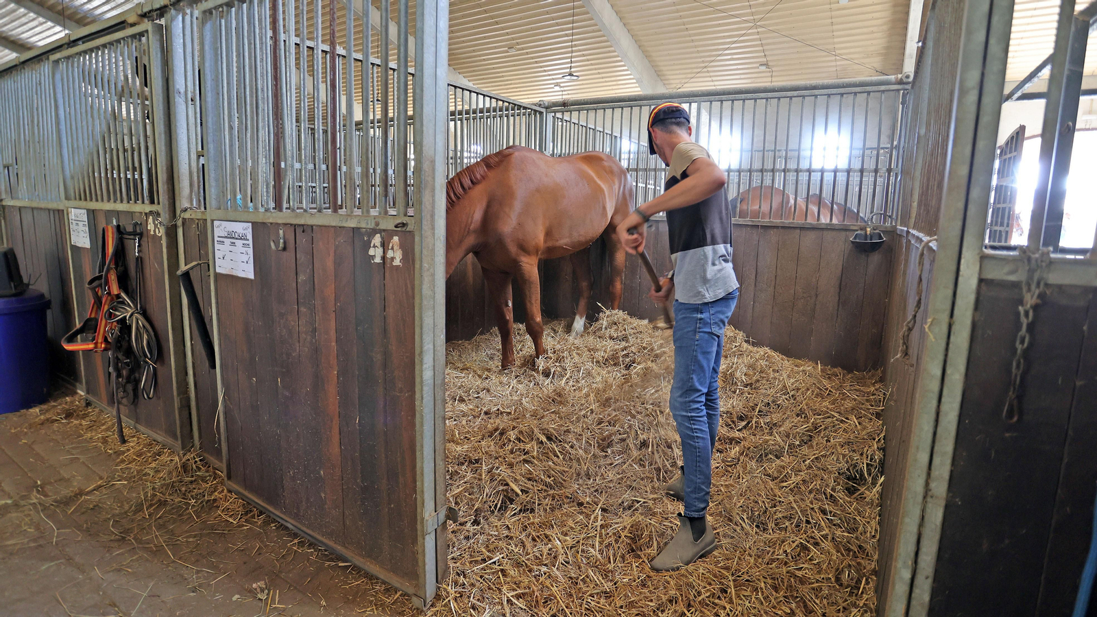 Imágenes del Complejo Hípico de Chapín de Ganadería Alpende