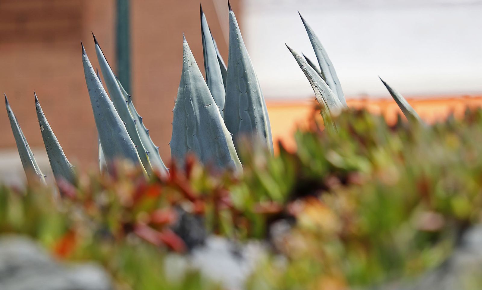 Ambiente en las playas de Huelva en el domingo 2 de julio