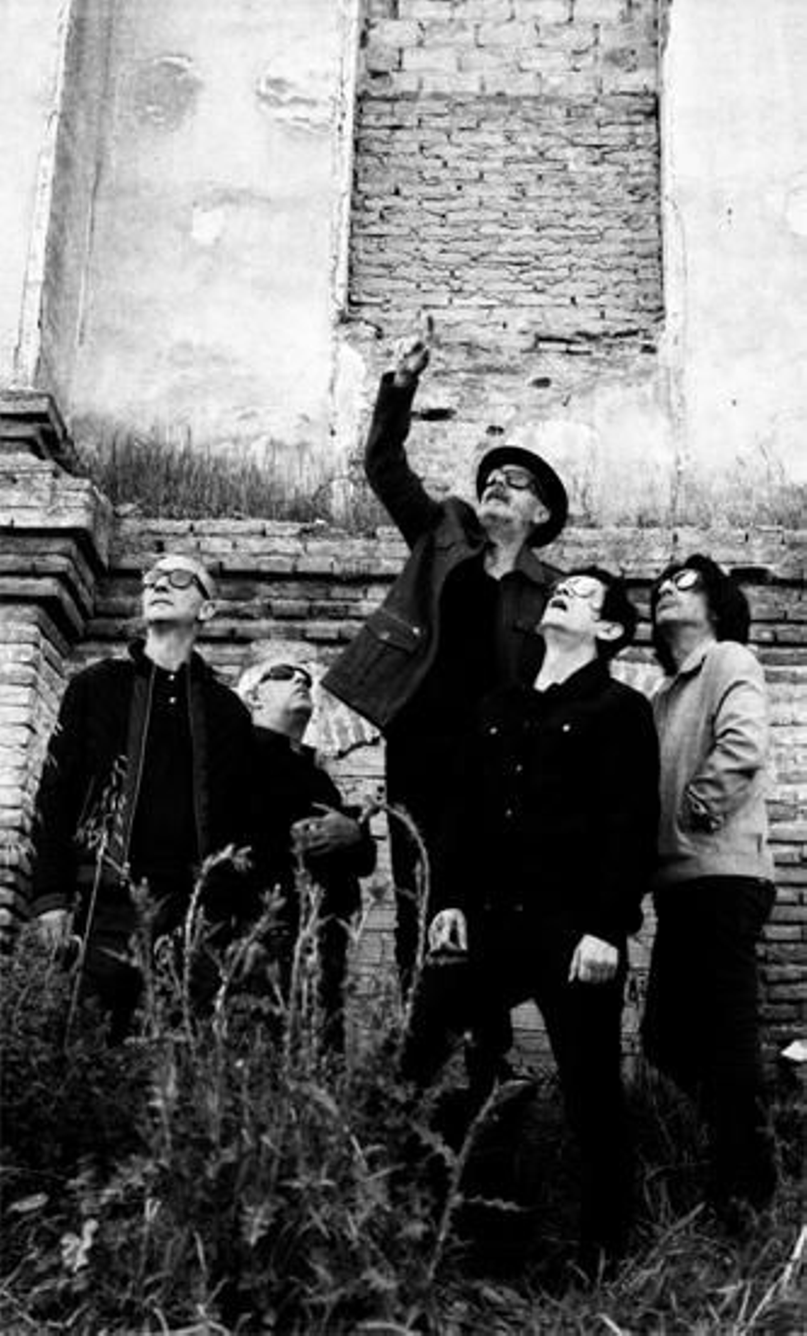 Lagartija Nick, contemplando el universo.