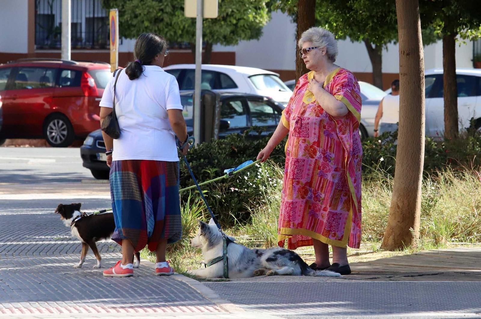 Un paseo en imágenes por la Plaza del Antiguo Estadio y sus alrededores