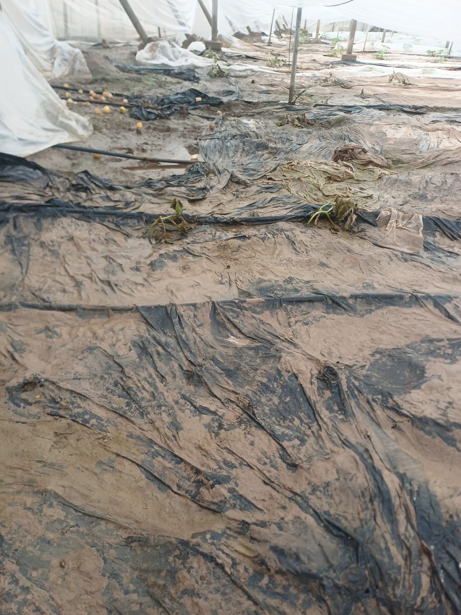 Invernaderos anegados en Adra.