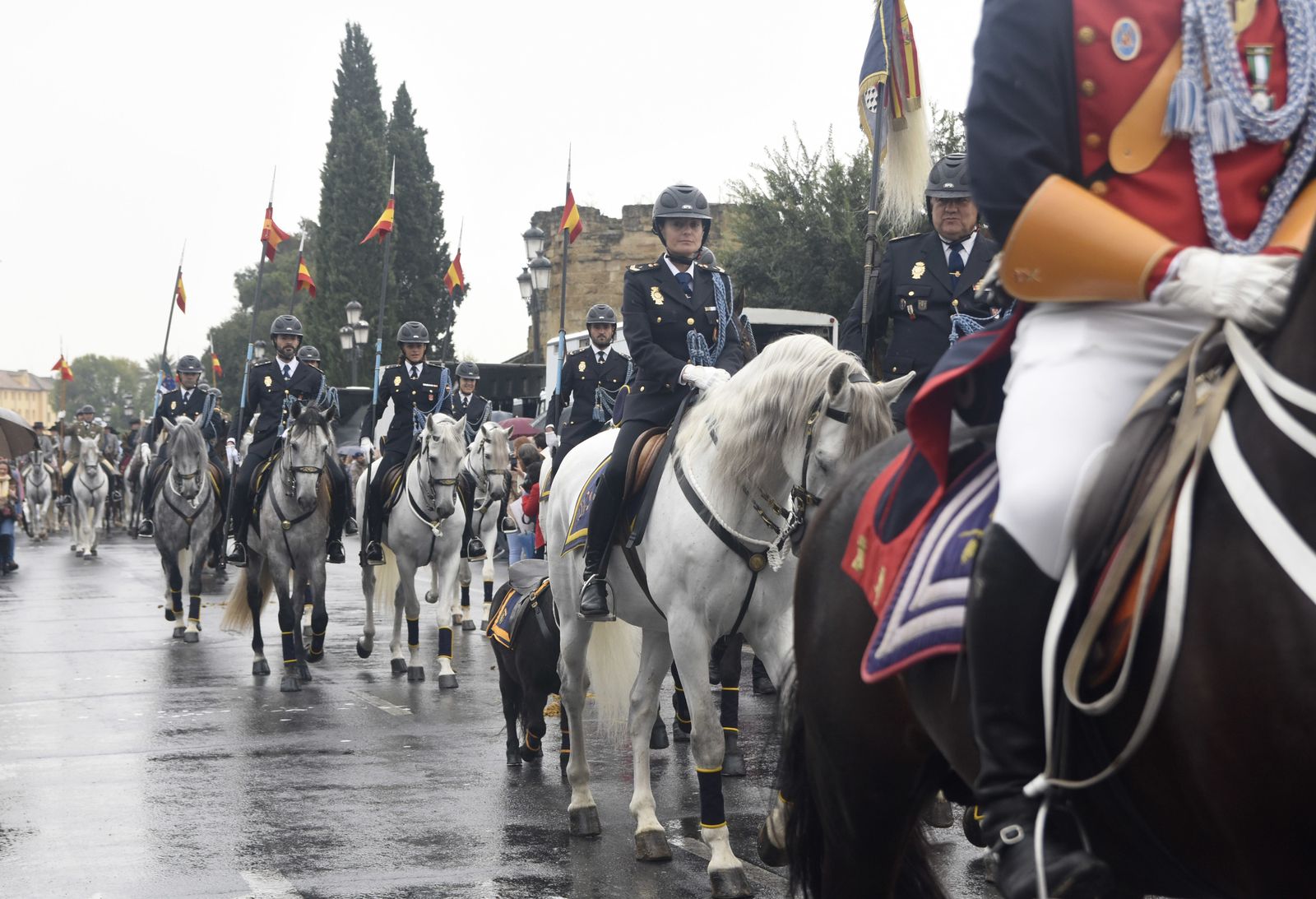 Las imágenes de la Magna Marcha Ecuestre