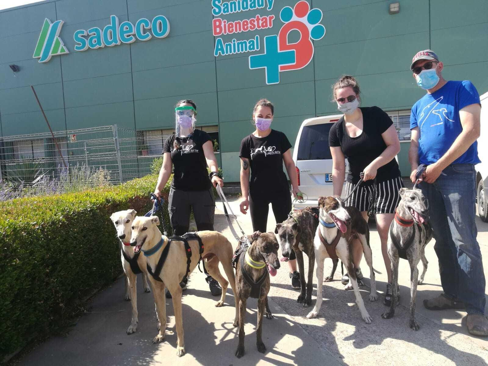 Integrantes de Galgos del Sur en el centro de Sadeco.