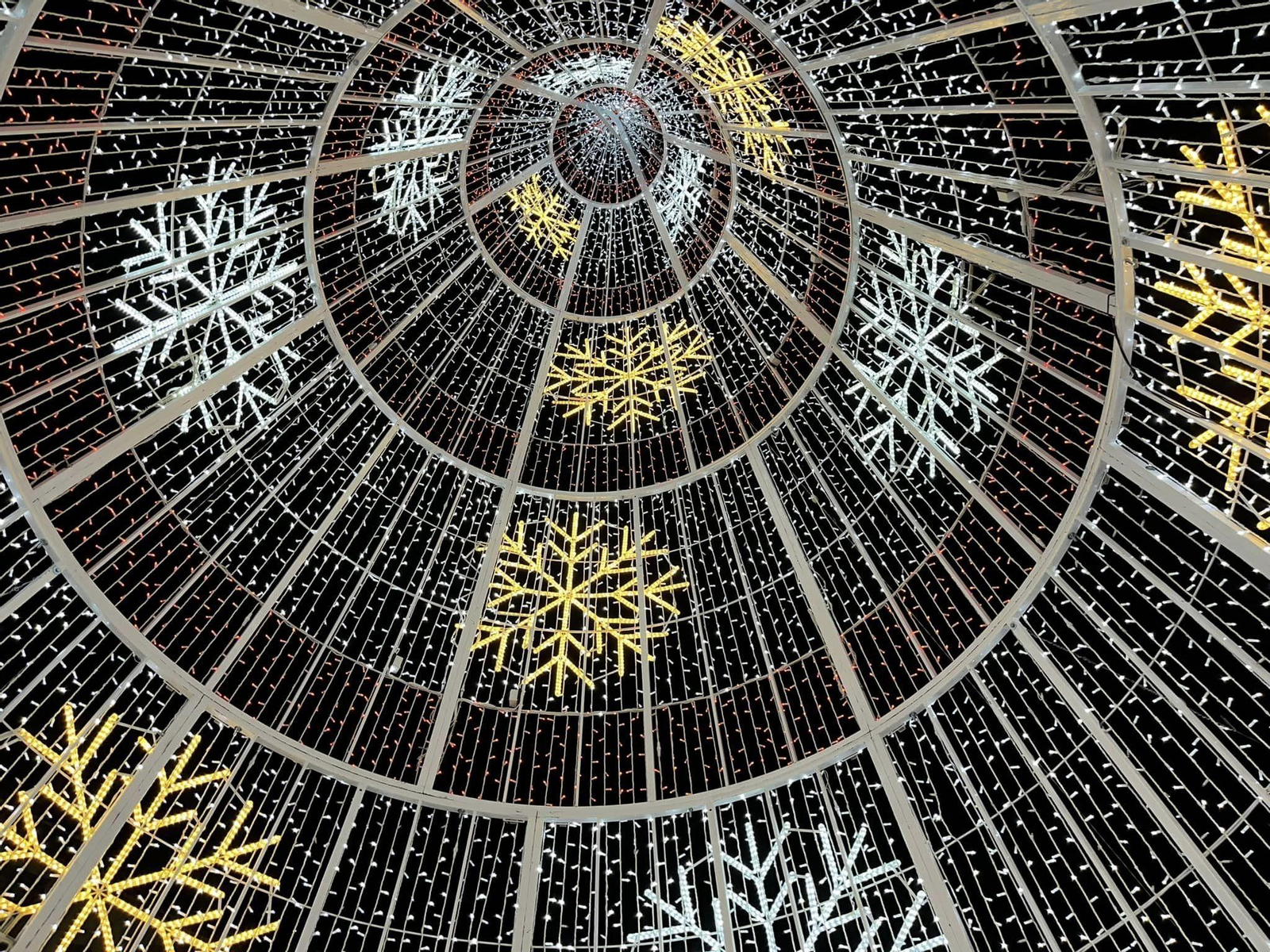 Un arbol de Navidad lleno de luces anuncia el comienzo de las celebraciones más intensas del año.