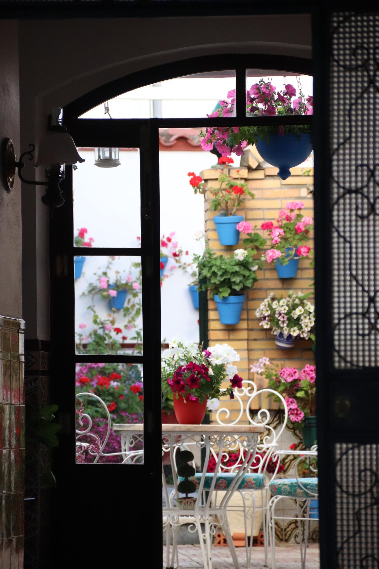 La Fiesta de la Cruz de Montilla, en imágenes