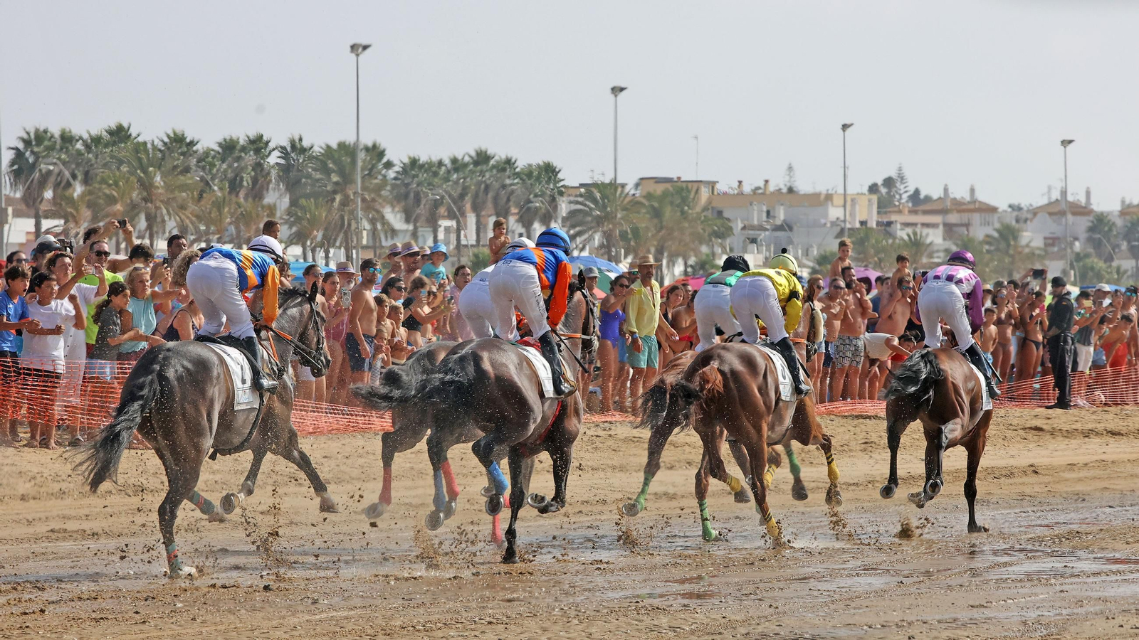 Imágenes del primer día del 2º ciclo de las Carreras de Caballos de Sanlucar